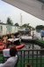 NIEUWKOOP 09-2008 338.JPG